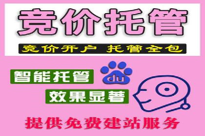 案例剖析：SEM竞价优化助力企业快速抢占市场
